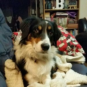 Meet your Posher, Melanie